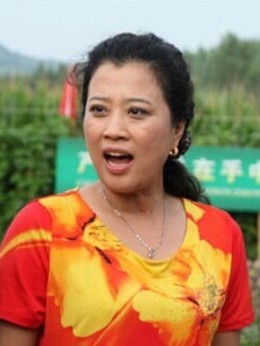 豆腐西施楊七巧劇情介紹_劇情家