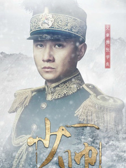 少帥劇情介紹_劇情家