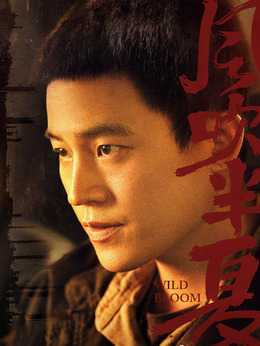 風吹半夏劇情介紹_劇情家
