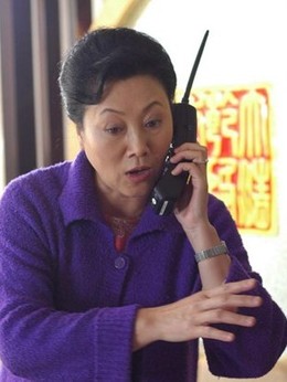 小麥進(jìn)城劇情介紹_劇情家