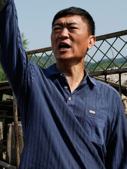 豆腐西施楊七巧劇情介紹_劇情家