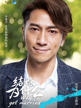 結(jié)婚為什么劇情介紹_劇情家