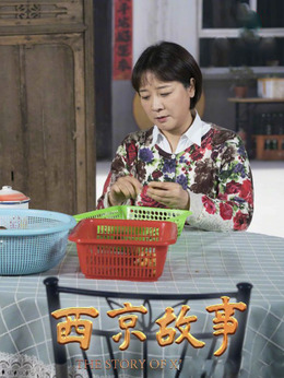 西京故事劇情介紹_劇情家