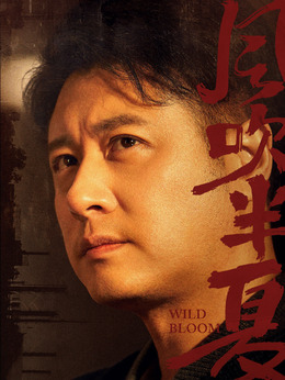 風(fēng)吹半夏劇情介紹_劇情家