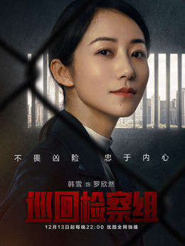 巡回檢察組劇情介紹_劇情家
