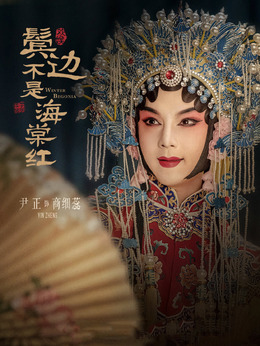 鬢邊不是海棠紅劇情介紹_劇情家