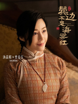 鬢邊不是海棠紅劇情介紹_劇情家