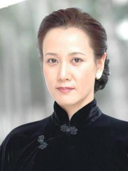 大決戰之遼沈戰役劇情介紹_劇情家