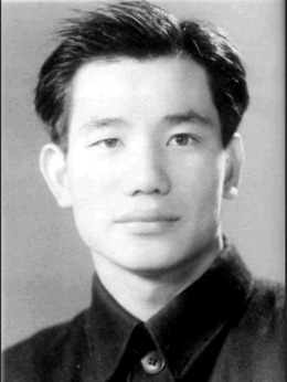平原游擊隊劇情介紹_劇情家