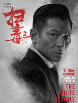 掃毒2：天地對決劇情介紹_劇情家