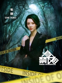 真相禁區劇情介紹_劇情家