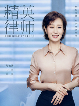 精英律師劇情介紹_劇情家