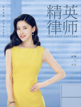 精英律師劇情介紹_劇情家