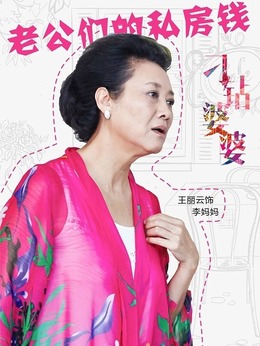 老公們的私房錢劇情介紹_劇情家