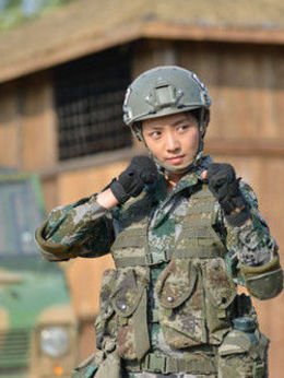 我是特種兵之火鳳凰劇情介紹_劇情家