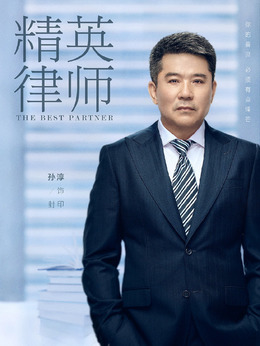 精英律師劇情介紹_劇情家