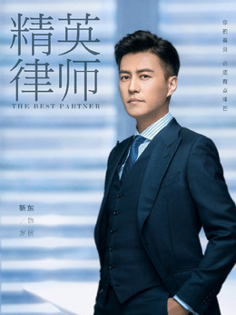 精英律師劇情介紹_劇情家