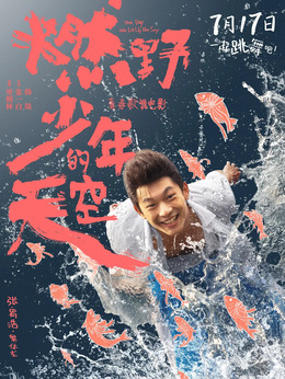 燃野少年的天空劇情介紹_劇情家