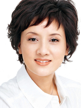 宰相劉羅鍋劇情介紹_劇情家