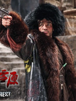 林海雪原劇情介紹_劇情家