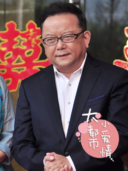大都市小愛(ài)情劇情介紹_劇情家