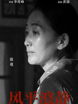 風平浪靜劇情介紹_劇情家