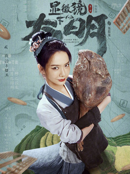 顯微鏡下的大明劇情介紹_劇情家