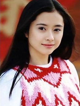 神捕十三娘劇情介紹_劇情家