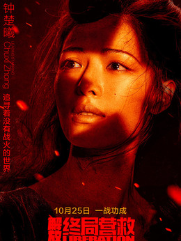 解放·終局營救劇情介紹_劇情家