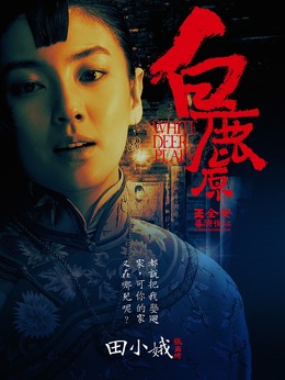 白鹿原劇情介紹_劇情家