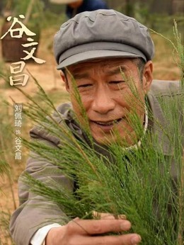 谷文昌劇情介紹_劇情家