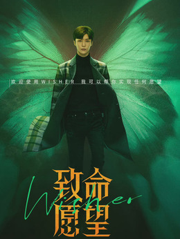 致命愿望劇情介紹_劇情家