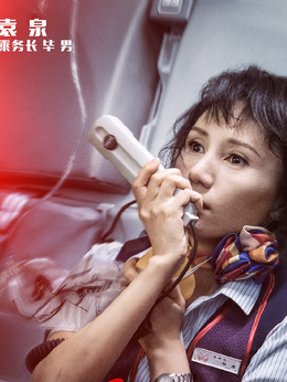 中國機(jī)長劇情介紹_劇情家