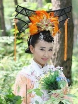 大清后宮之還君明珠劇情介紹_劇情家
