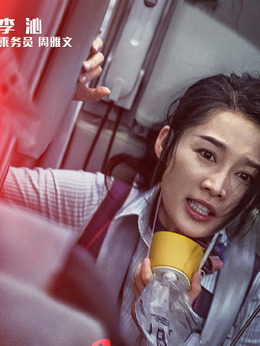 中國機長劇情介紹_劇情家