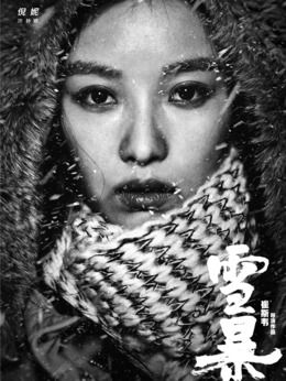 雪暴劇情介紹_劇情家
