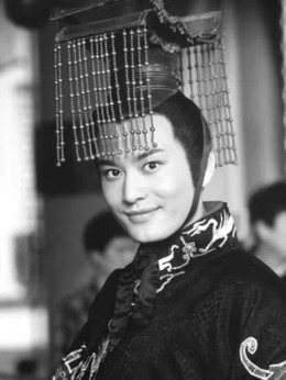 大漢天子劇情介紹_劇情家