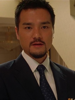 龍鳳斗劇情介紹_劇情家