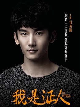 我是證人劇情介紹_劇情家