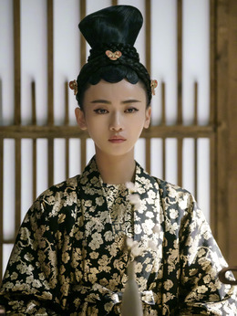 鳳囚凰劇情介紹_劇情家