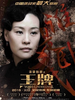 王牌劇情介紹_劇情家