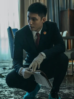 檢察風云劇情介紹_劇情家