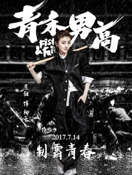 青禾男高劇情介紹_劇情家