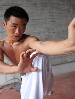 蔡李佛拳劇情介紹_劇情家