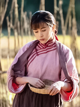 進京城劇情介紹_劇情家