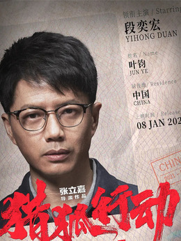 獵狐行動劇情介紹_劇情家