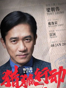 獵狐行動劇情介紹_劇情家