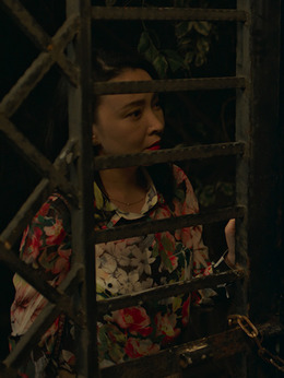 嘉年華劇情介紹_劇情家