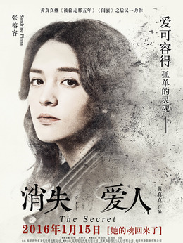消失的愛人劇情介紹_劇情家