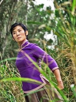 家有喜事2009劇情介紹_劇情家